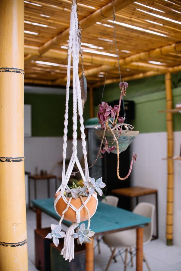 Casa Mangarito *